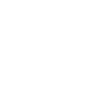Bear Fight Games