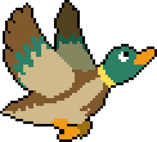 Duck Shoot
